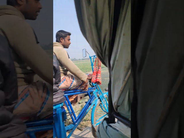 চারিদিকে সবুজ প্রকৃতি মাঠ ভরা ফসল আর ফসল যেদিকে তাকাই সেদিকেই চেয়ে থাকতে মন চায়