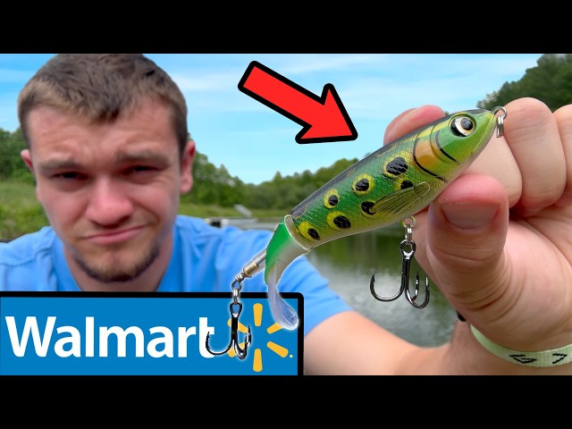 Testing Walmart's Cheap vs Expensive Fishing Lures!