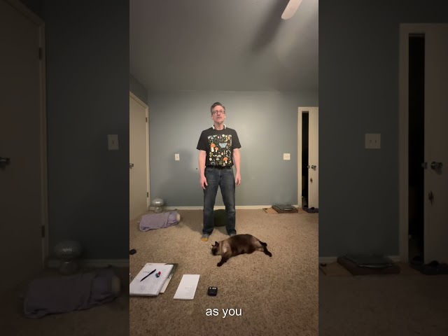 Shaking Sandwich: Getting to deep release before stretching | Paradox Diaries 8.3