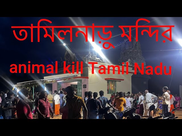 animal kill Tamil তামিলনাড়ু মন্দির Tamil Nadu, Bluetooth video blocking// bolaggen