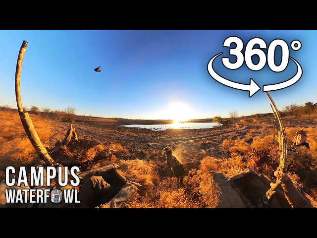 He Shot and Caught the Duck with a 360° camera!! (Watch on Mobile)