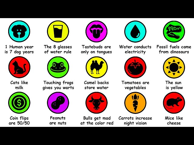 Every Common Misconception Debunked in 6 Minutes