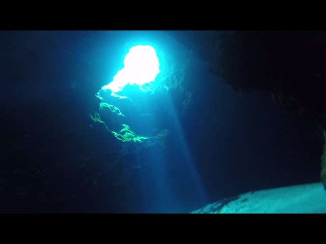 Ichetucknee Springs - Blue Hole (Jug Hole) Exploration Freediving