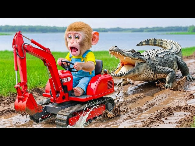 Monkey Sisi Harvesting Pineapples On His Farm — But a Ferocious Crocodile Jumps Out!🐒🍍