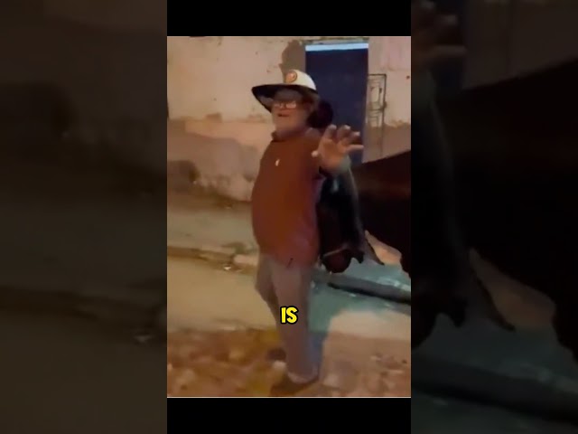 Bull taking drunk owner home #shorts