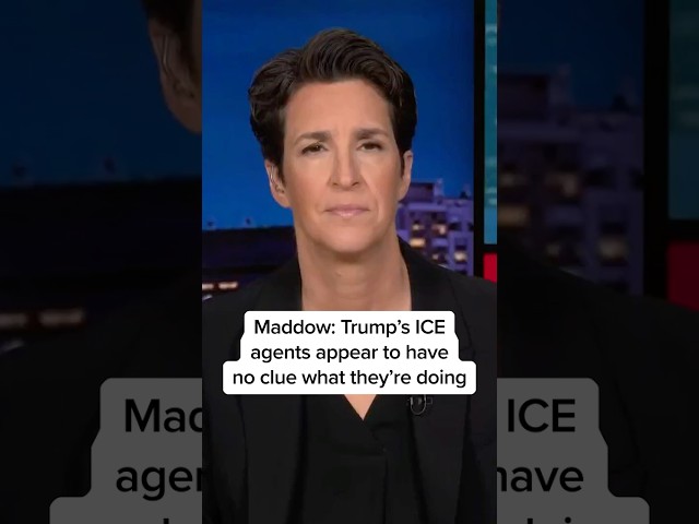 Maddow: Trump's ICE agents appear to have no clue what they're doing
