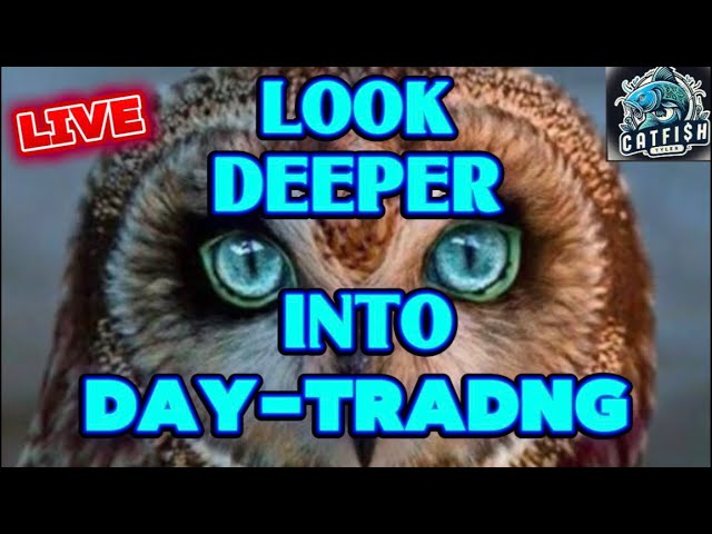 Watch & Learn From 25 Yrs Trading Experience.  Catfish Tyler