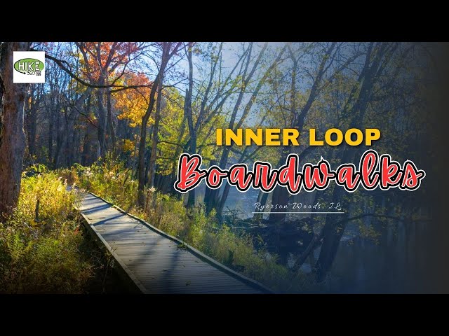 Ryerson Woods, IL - Inner Loop Boardwalks (Hike 360° VR Video)
