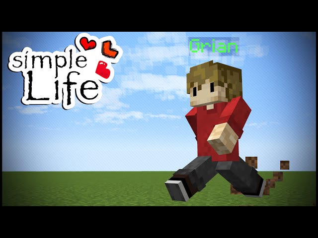 Simple Life: THE START AND END