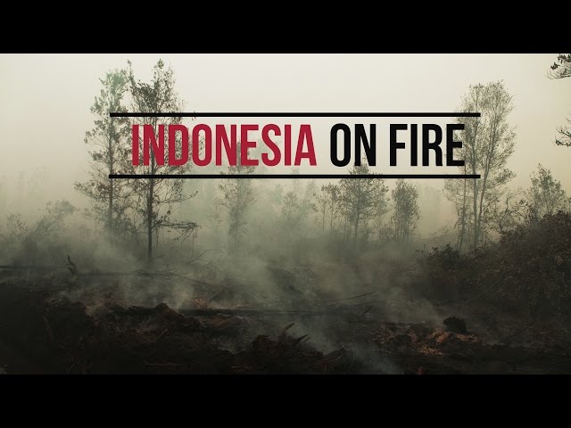 Indonesia on Fire