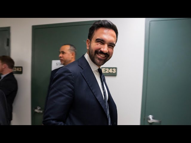 Zohran Mamdani’s racial equity plan ‘doesn’t make sense’