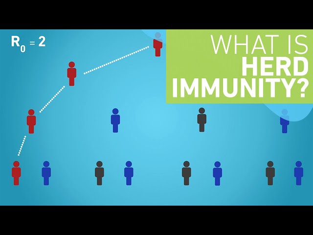 What is Herd Immunity?