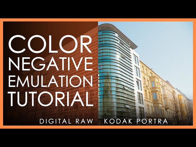 Use Digital Raw Files Like Analog Film Scans in Negative Lab Pro - Tutorial
