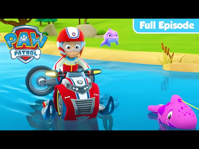 Pups Save A Dolphin Pup & MORE! | PAW Patrol FULL EPISODES | Cartoons for Kids