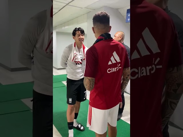 SON & GUERRERO sprechen auf Deutsch miteinander nach Länderspiel 😱😍😂