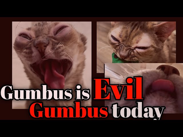 Gumbus is Evil and it’s all my fault…