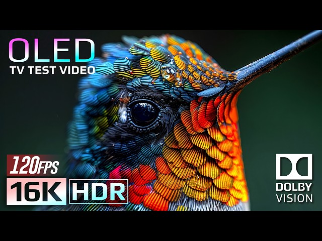 Experience 16K HDR Dolby Vision 120fps | Breathtaking Nature OLED Demo (For 8K/4K TV)