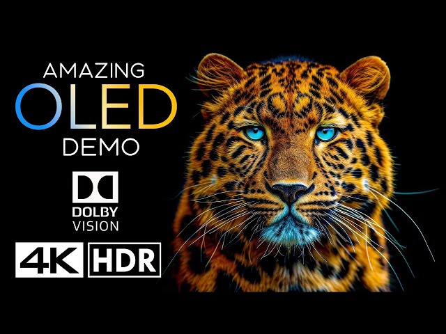 Amazing HDR 4K 120fps Dolby Vision 4K Video