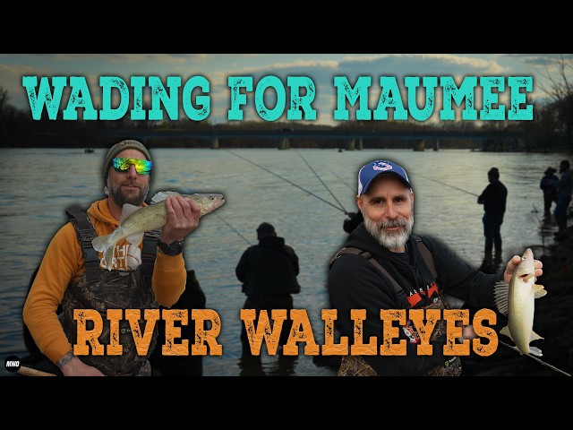 The Legendary Maumee River Walleye Run | Maumee Run Breakdown