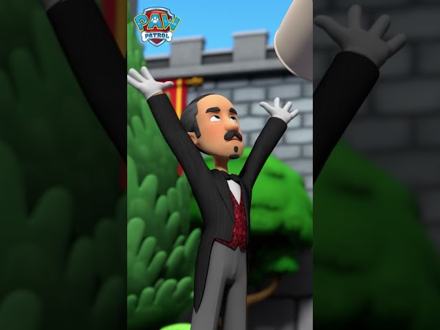 Dragon Flies Away with the PRINCESS! - #Shorts #PAWPatrol