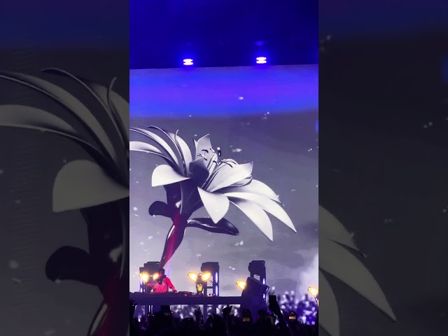 ILLENIUM @ The Brooklyn Mirage at Avant Gardner - ILLENIUM 9 #illenium  #electronicmusic #titanium