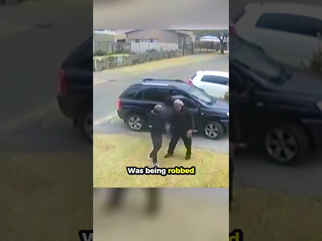 Doberman Saves Grandpa From Robbers 🥲❤️