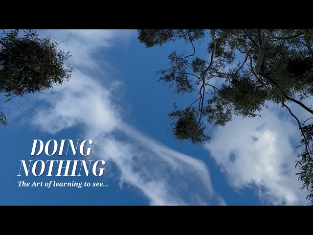 The Art of Doing Nothing