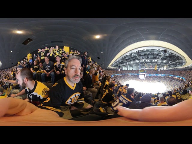 2019 Stanley Cup Final Game 1 Bruins goal