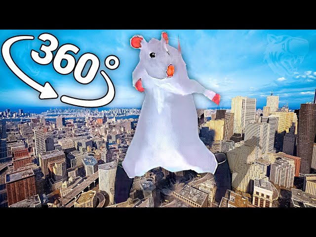 Rat dance - City in 360° Video | VR / 8K | ( Rat dance meme )