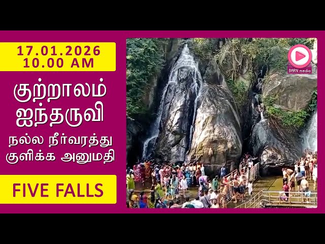 Five Falls | 17.01.2026, 10.00 AM | குற்றாலம் ஐந்தருவி வீடியோ | Kutralam Season Today | KutralamLive