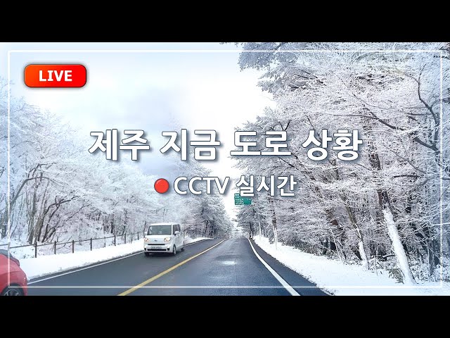 [ 🔴LIVE ] 지금 제주는? | 날씨&교통정보 실시간 라이브