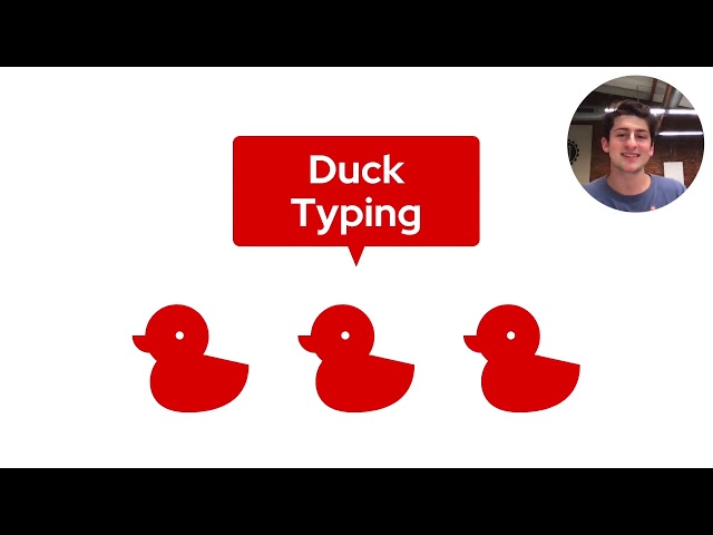 Five things to know before learning Python