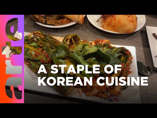 Cooking Across the World – Kimchi | ARTE.tv Culture