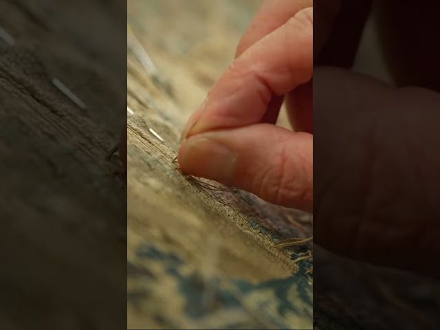 Tapestry Conservation #shorts