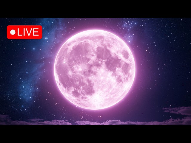 Pink Full Moon • 1111Hz • Manifest Prosperity, Miracles & Blessings • Law of Attraction