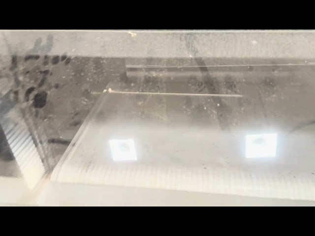 Magnetic destoner machine | punjab engineering Indore 7869122046