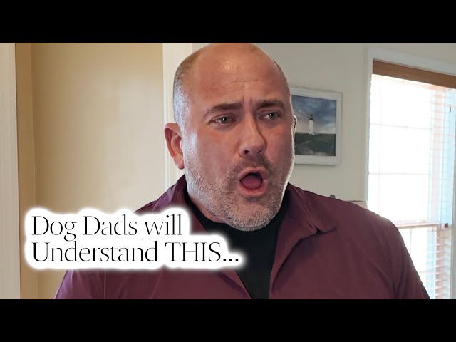 POV: Every Dog Dad Needs This on Date Night 😂