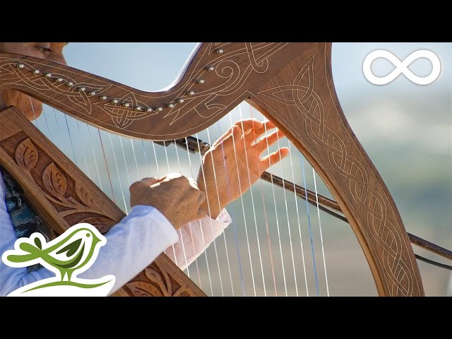 Relaxing Harp Music for Sleep & Meditation | Instrumental Background Music ★49