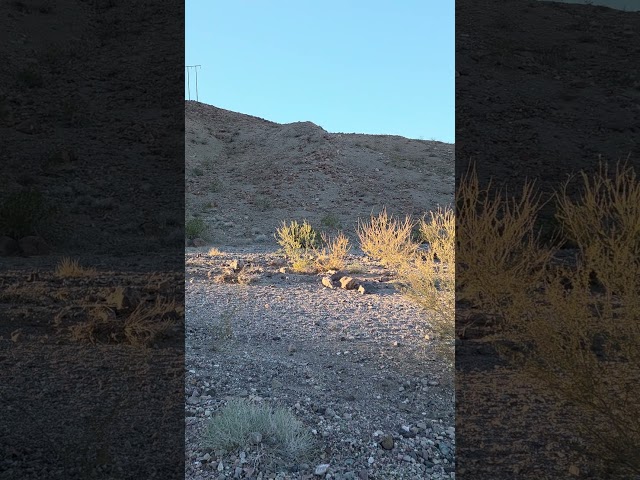 Sunset in White Owl Canyon