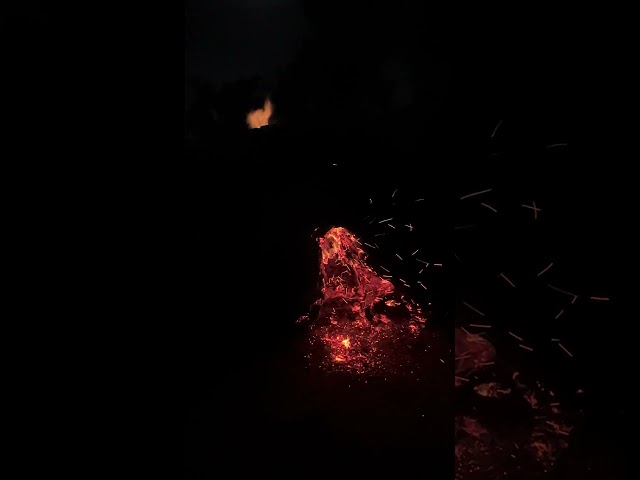 Slow burn #treestump #burning #fire #lightitup