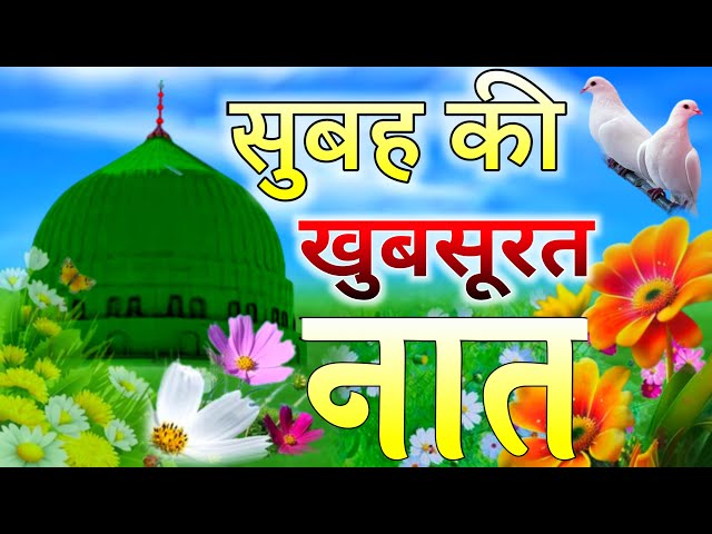 SOYEB NETWORK Live Stream