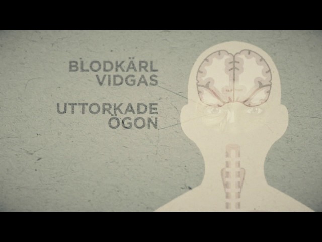 Huvudvärk, illamående och törstig - därför blir du bakfull. - Nyheterna (TV4)