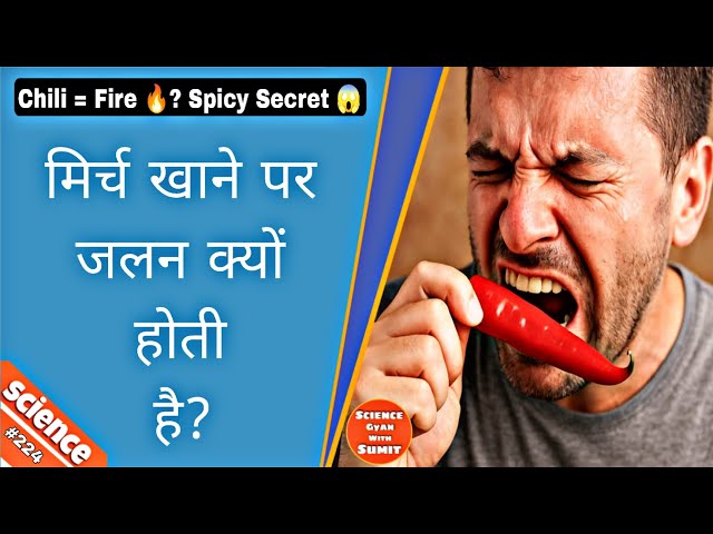 मिर्च खाने पर जलन क्यों होती है? | 🌶️ Science Explained | Why Chili Feels Hot? 🌶️ मिर्च का साइंस