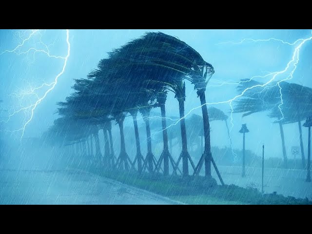 💤 Fall Asleep Quickly with Terrible Hurricane 🌫 Strong Winds, Heavy rain & Thunder at Night
