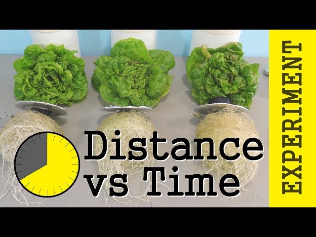 Photoperiod vs Intensity: PPFD / DLI - LED Lights Lettuce Experiment (What is DLI?)