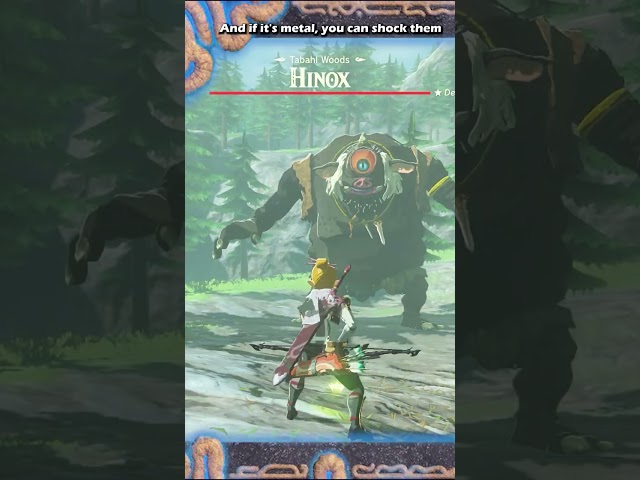Mini Boss Tricks in Zelda Breath of The Wild | BotW Lynel, Hinox, Stalnox, Molduga