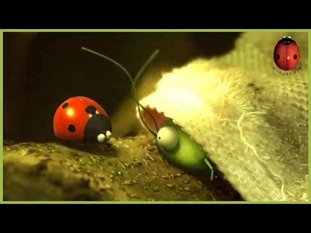 The Monster Of The Haunted Swamp | Minuscule 🍃 25' Compilation