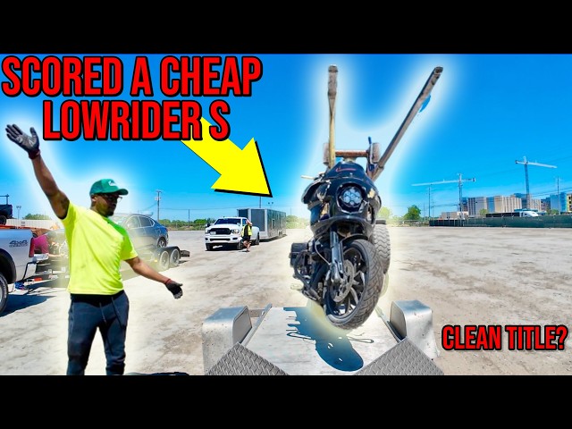 I WON THIS HARLEY FROM COPART FOR CHEAP!