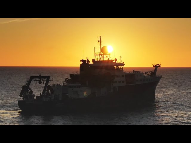 Everything You Need to Know About RRS Discovery