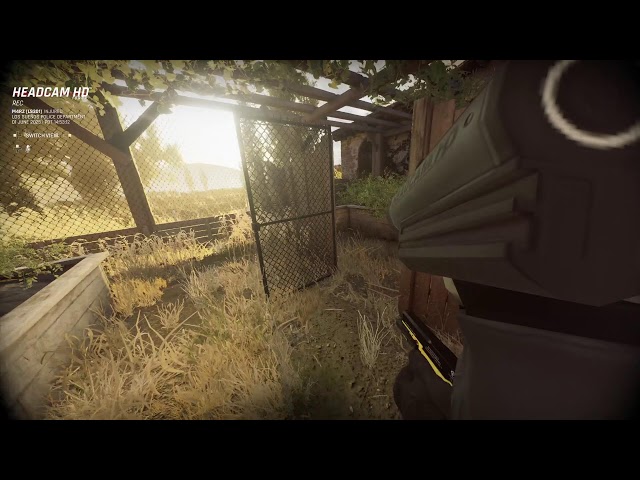 I AM THE LAW! (Ready Or Not )